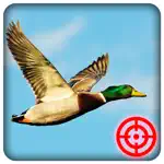 Duck Hunting Season: Wild Bird Shooting 3D App Contact