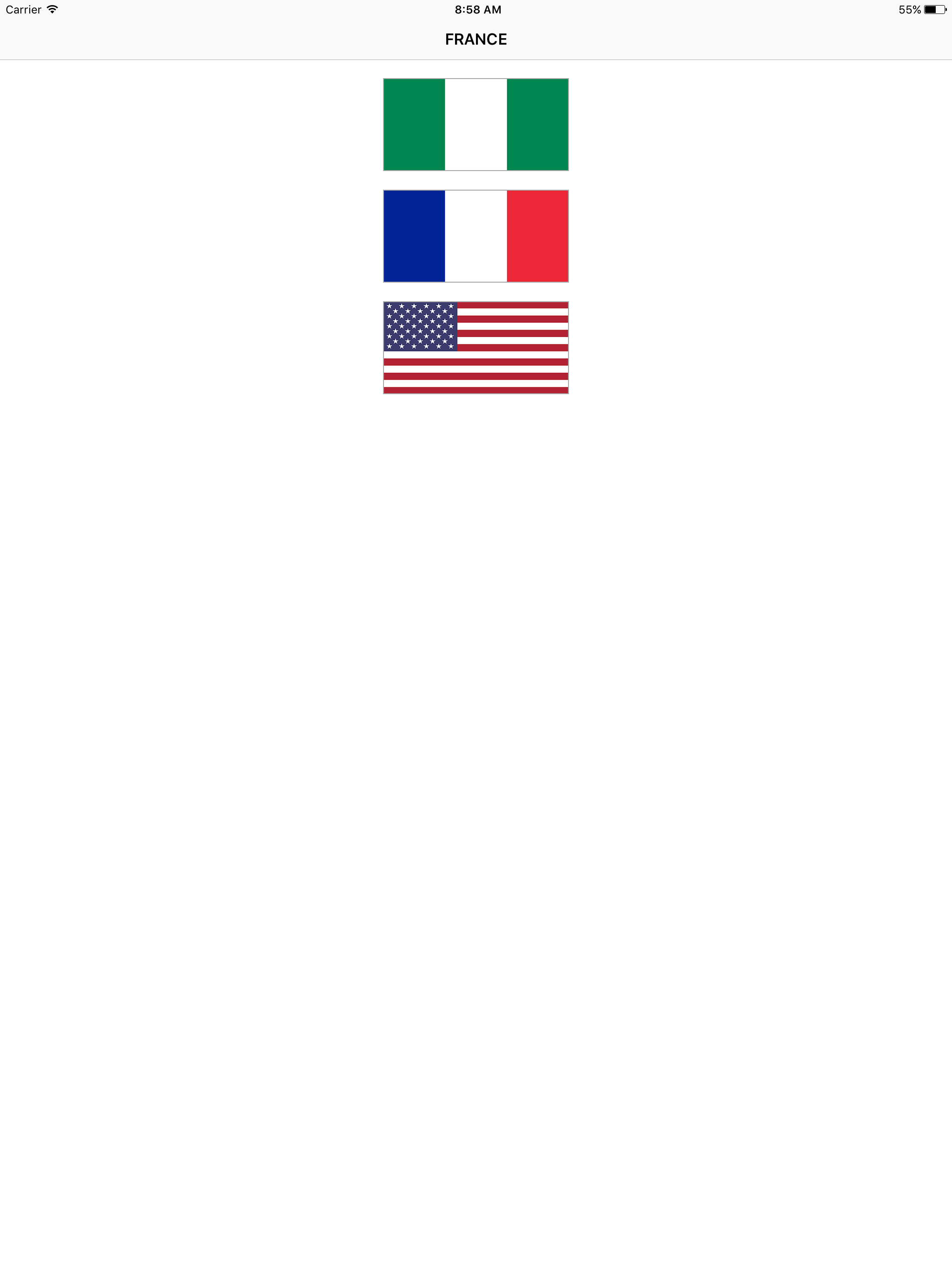 Guess The Flag - Fun Flag Guessing Game
