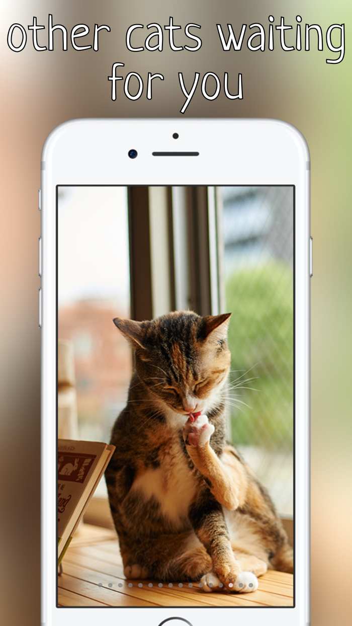 Purr Meow - Сat meow sounds free app