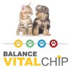 Vitalchip