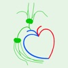 Atlas of lymphatics for iPhone