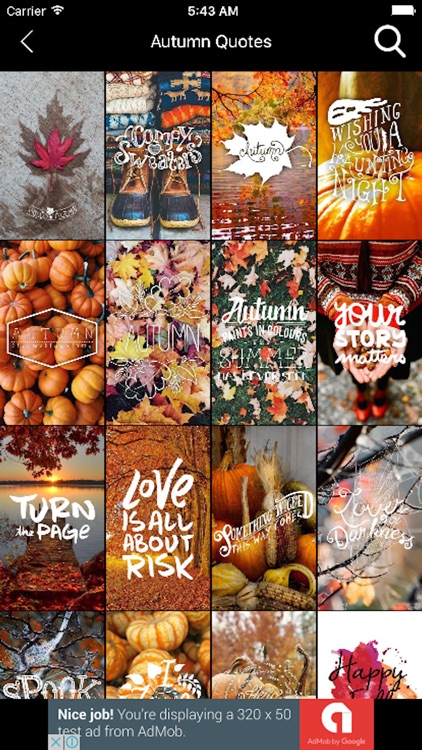 ZUI Wallpaper - HD live images