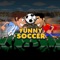 Choose your favourite Soccer Team and kick the ball into the net