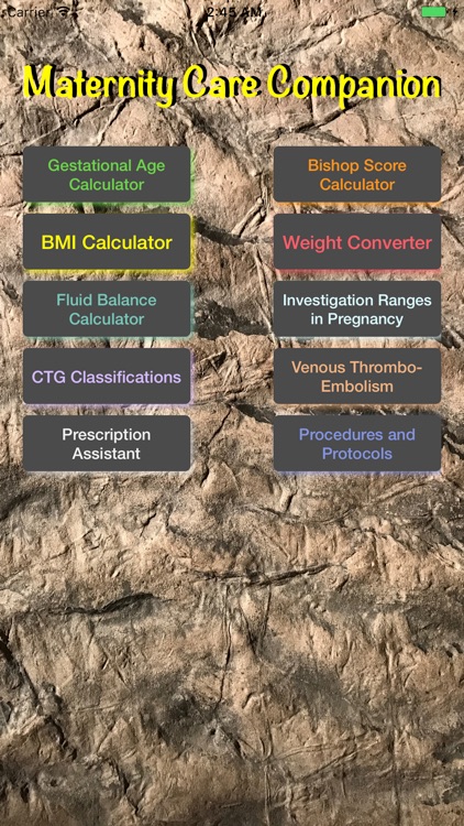 Maternity Care Companion