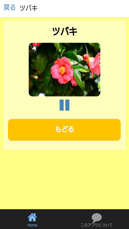 しょくぶつずかん　絵・写真・音声で楽しい幼児向け図鑑アプリ screenshot-4