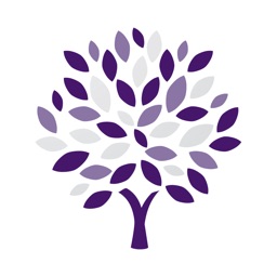 AMS Insurance Brokers