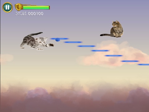 Laser Cats!のおすすめ画像3