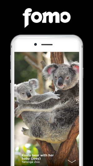 FOMO Guide Sydney(圖1)-速報App