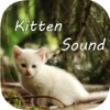 Kitten Sounds – Cat Meow Sound app icon - Music app for iPhone