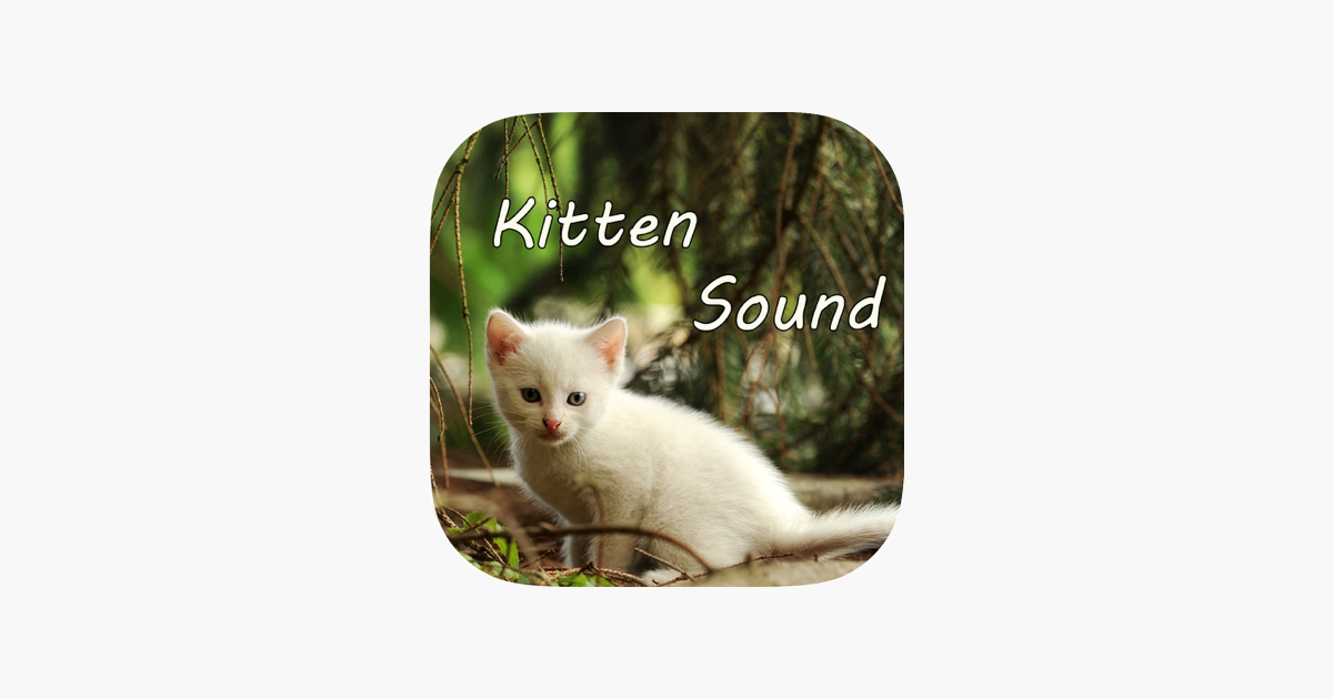 Kitten Sounds – Cat Meow Sound on the App Store