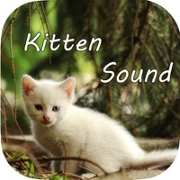 Kitten Sounds – Cat Meow Sound app icon - Music app for iPhone