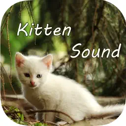 Kitten Sounds – Cat Meow Sound app icon