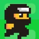 Flappy Ninja - Create Your Own Original Bird ! app icon - Games app for iPhone