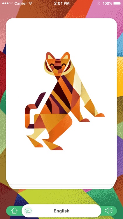 Zoosi Animal Flash Cards