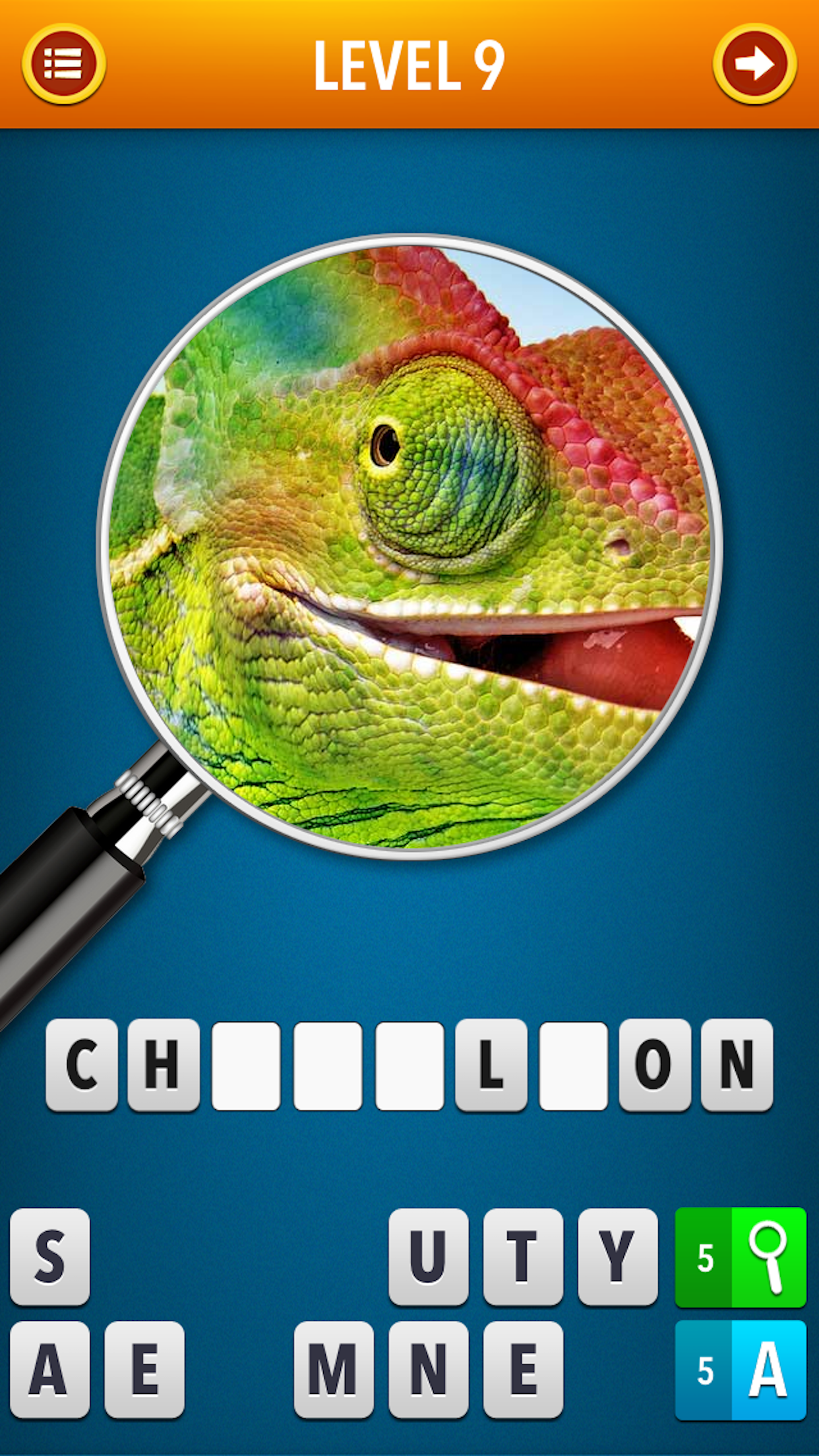 Guess the Pic! ~ Close up Photos