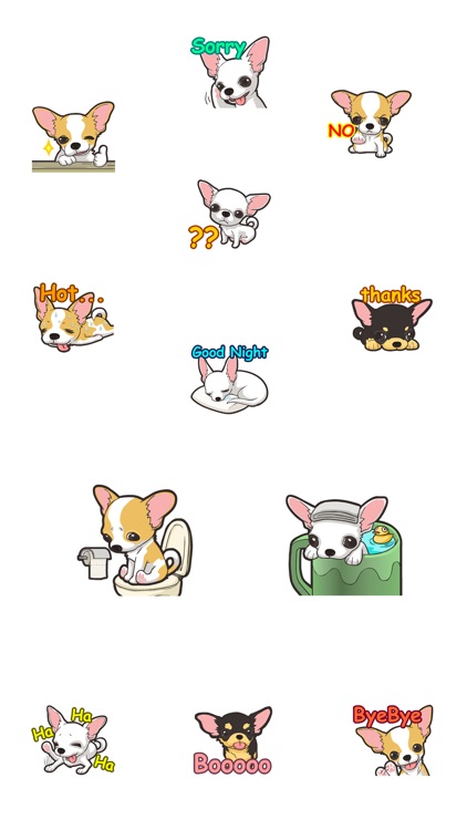 Chihuahua Dog - Stickers