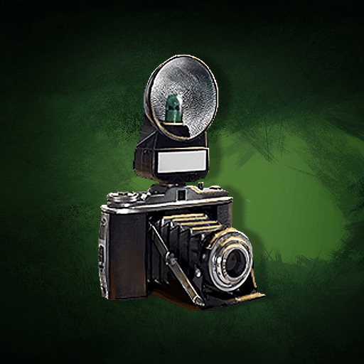 Photo collector icon