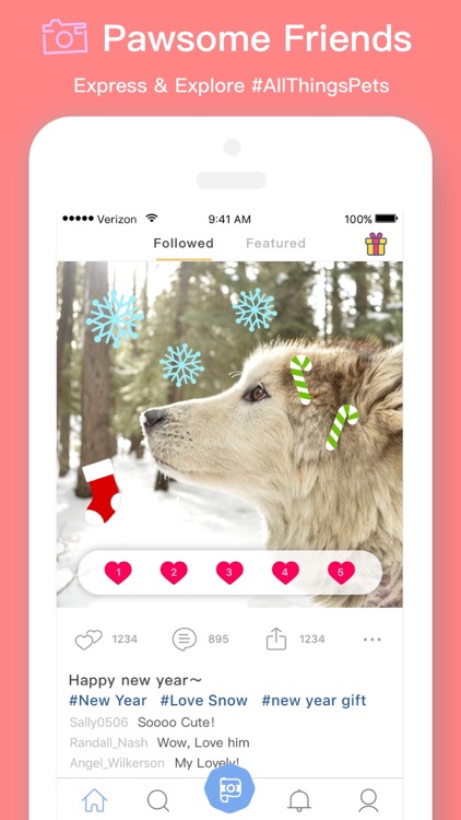 Pamily - Video Community for Pet lovers