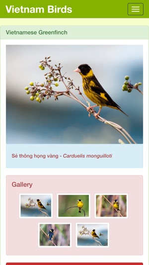 Vietnam Bird Guide