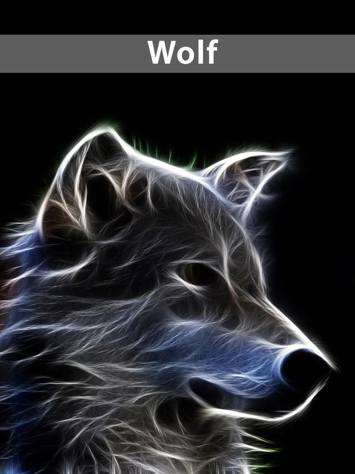 Amazing Wolf Wallpapers