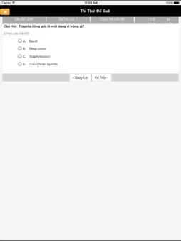 NailsTest screenshot 10