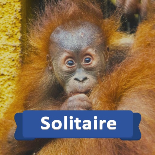 Solitaire Baby Animals icon