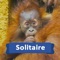 Solitaire or patience card game to play FREE