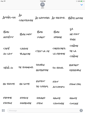 French Expressions screenshot 3