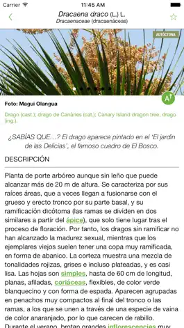 Game screenshot Arbolapp Canarias hack
