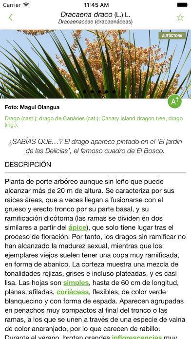 Screenshot #3 pour Arbolapp Canarias