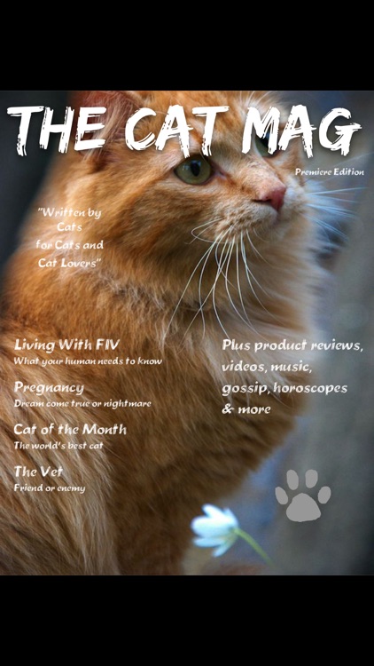 The Cat Mag Magazine