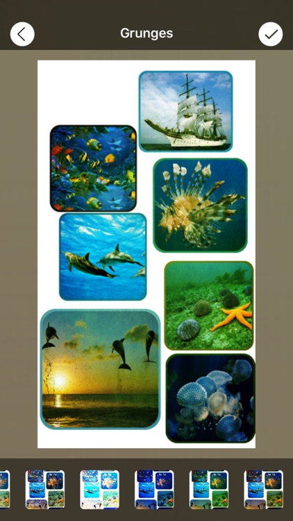 Photo Collage Frames+