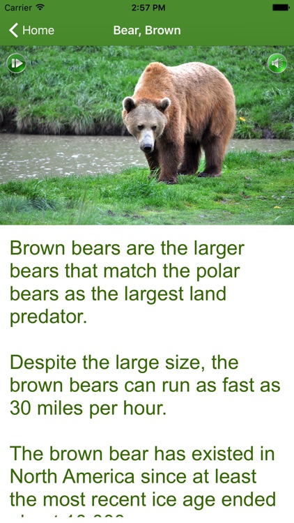 iLearnFacts - Mammals