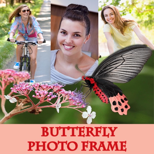 Cute Butterfly  Photo Frame And Pic Collage icon