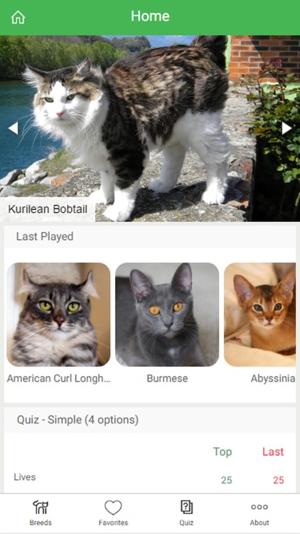 Cats Breeds Pro