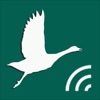 Охотничий манок на гуся - 旅行アプリ
