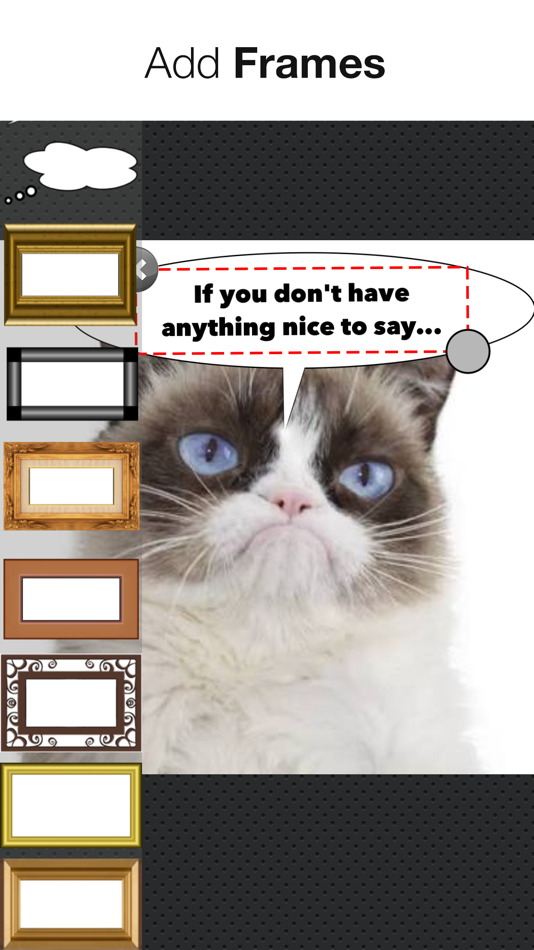 #3. Speech Bubbles Photo Editor (iOS) By: Alan Cushway