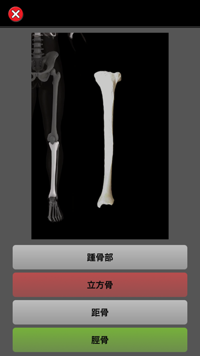 アナトミークイズプロのスクリーンショット - 4