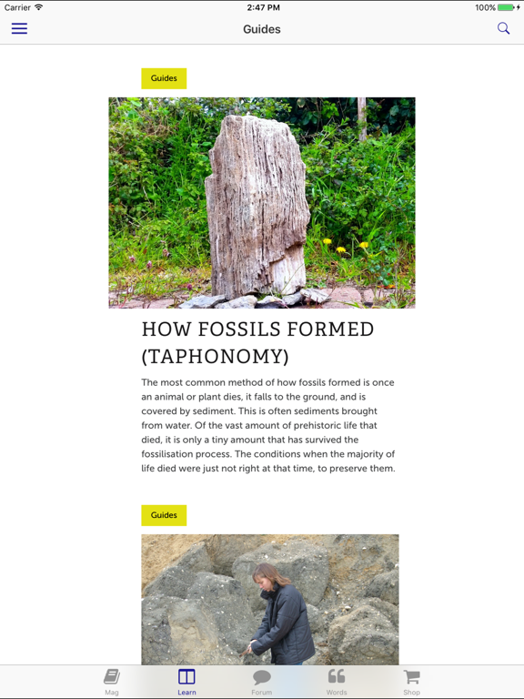 Screenshot #6 pour Deposits - Rock & Fossil Magazine