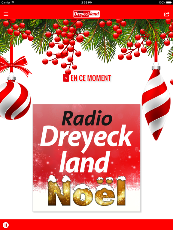 Screenshot #5 pour Radio Dreyeckland Noel