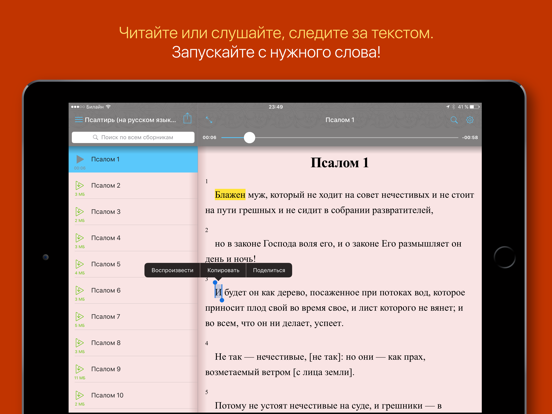 Screenshot #5 pour Псалтирь на русском