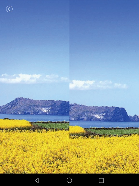 Screenshot #4 pour Camarama by Sharper Image