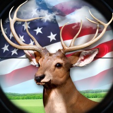 Activities of American Hunter Hunting Deer Simulator Games