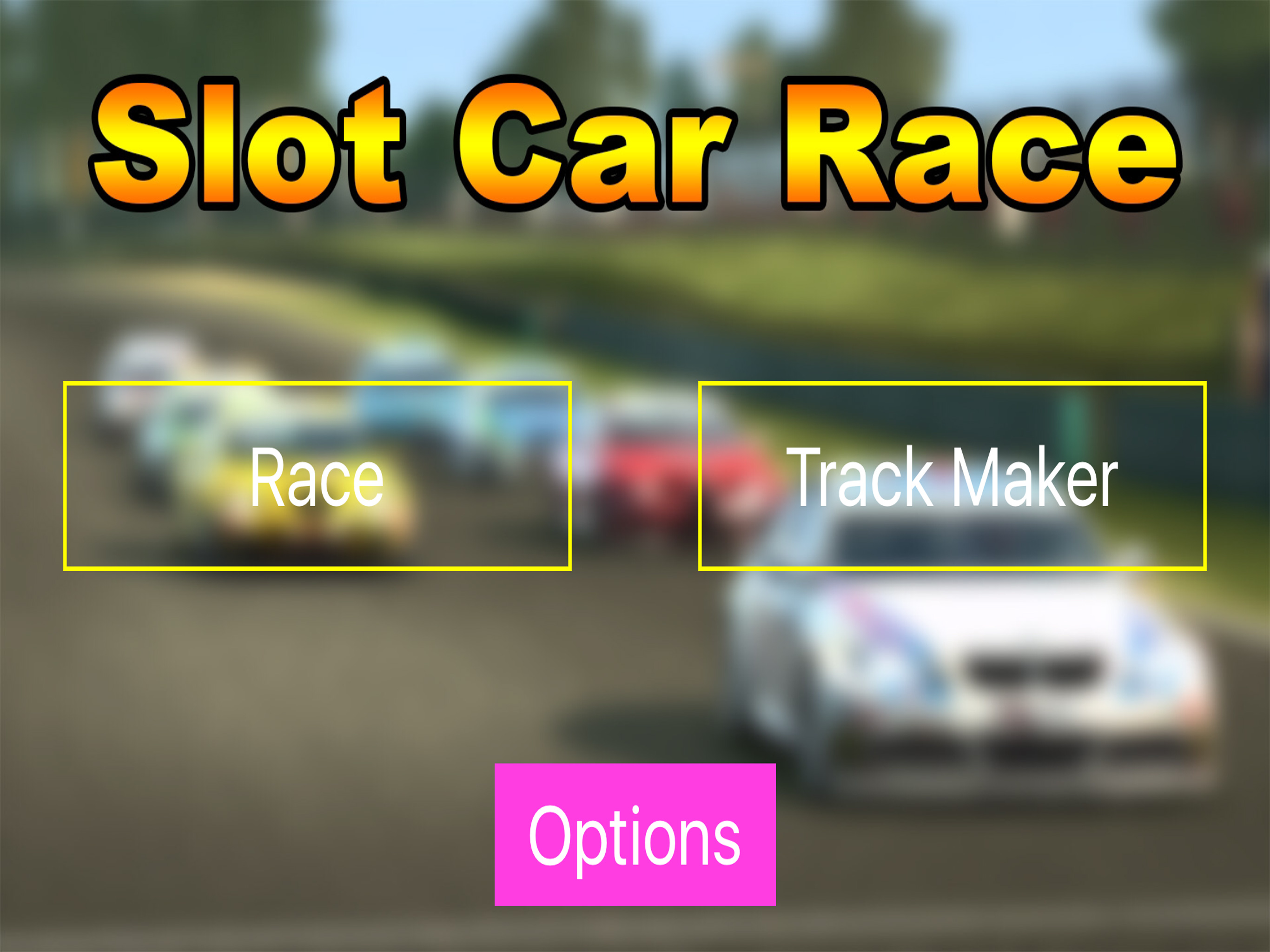 Slot Car Race
