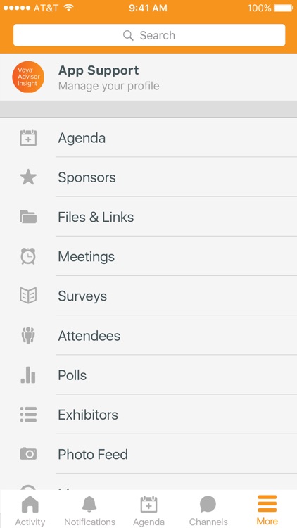 Voya Advisor Insight 2017