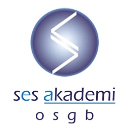 Ses Akademi