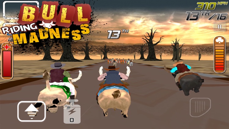BULL RIDING MADNESS - 3D RACING GAME