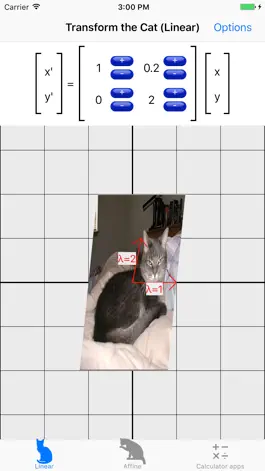 Game screenshot Transform the Cat hack