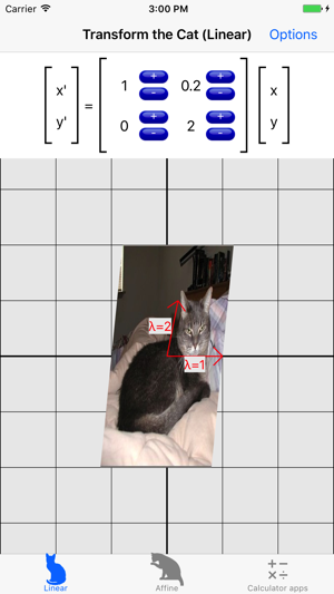 Transform the Cat(圖3)-速報App