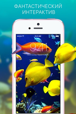 Live Wallpapers - Dynamic Animated Photo HD Themes screenshot 4